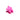 Flower Hair Clip Small - Magenta