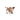 Butterfly Hairclip Small - Choco Milk